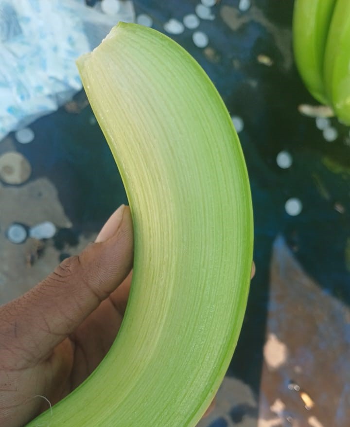 Grand Naine Bananas — Zad Global Trade
