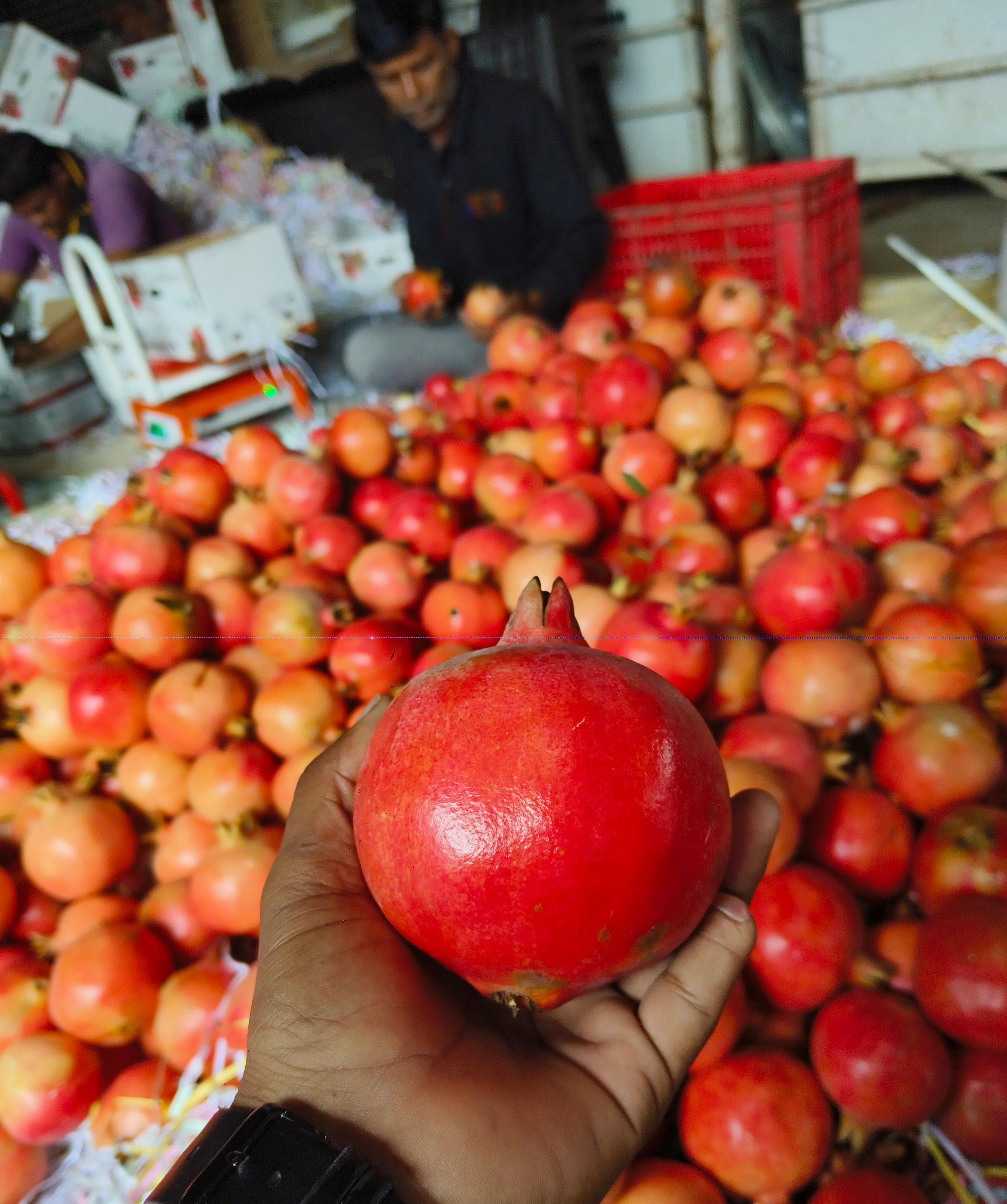 Pomegranate packing process
