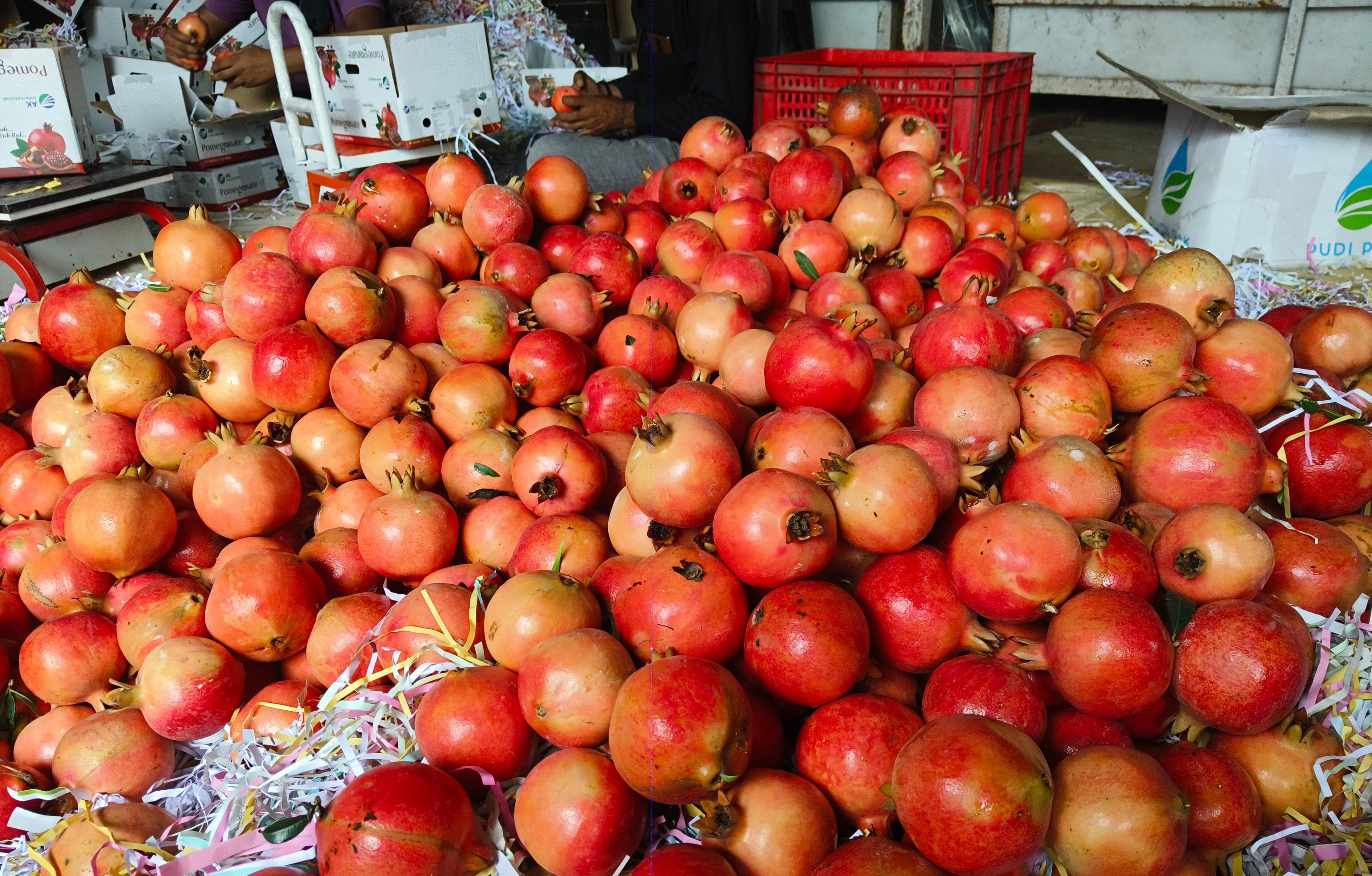 Warehouse operations