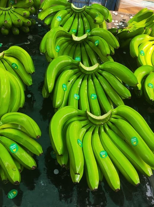 Grand Naine Bananas